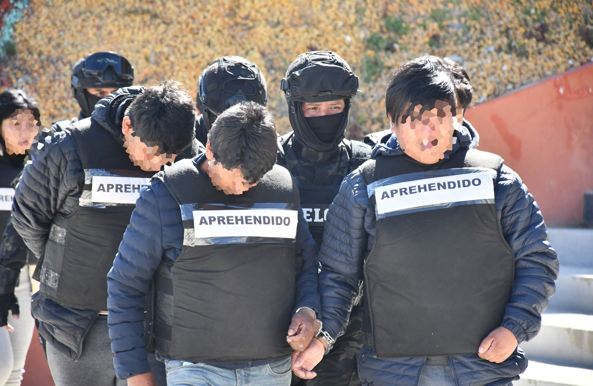 Operativo en Oruro logra el secuestro de más 300 kilos de droga y seis aprehendidos