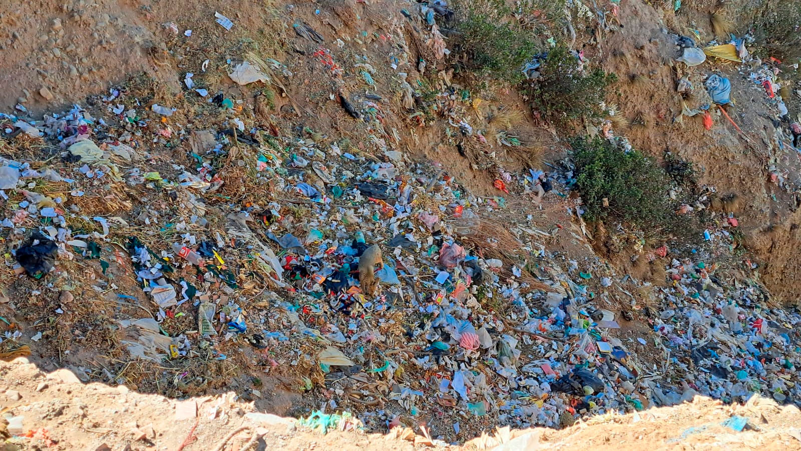 300 municipios de Bolivia siguen arrojando sus residuos en botaderos ilegales
