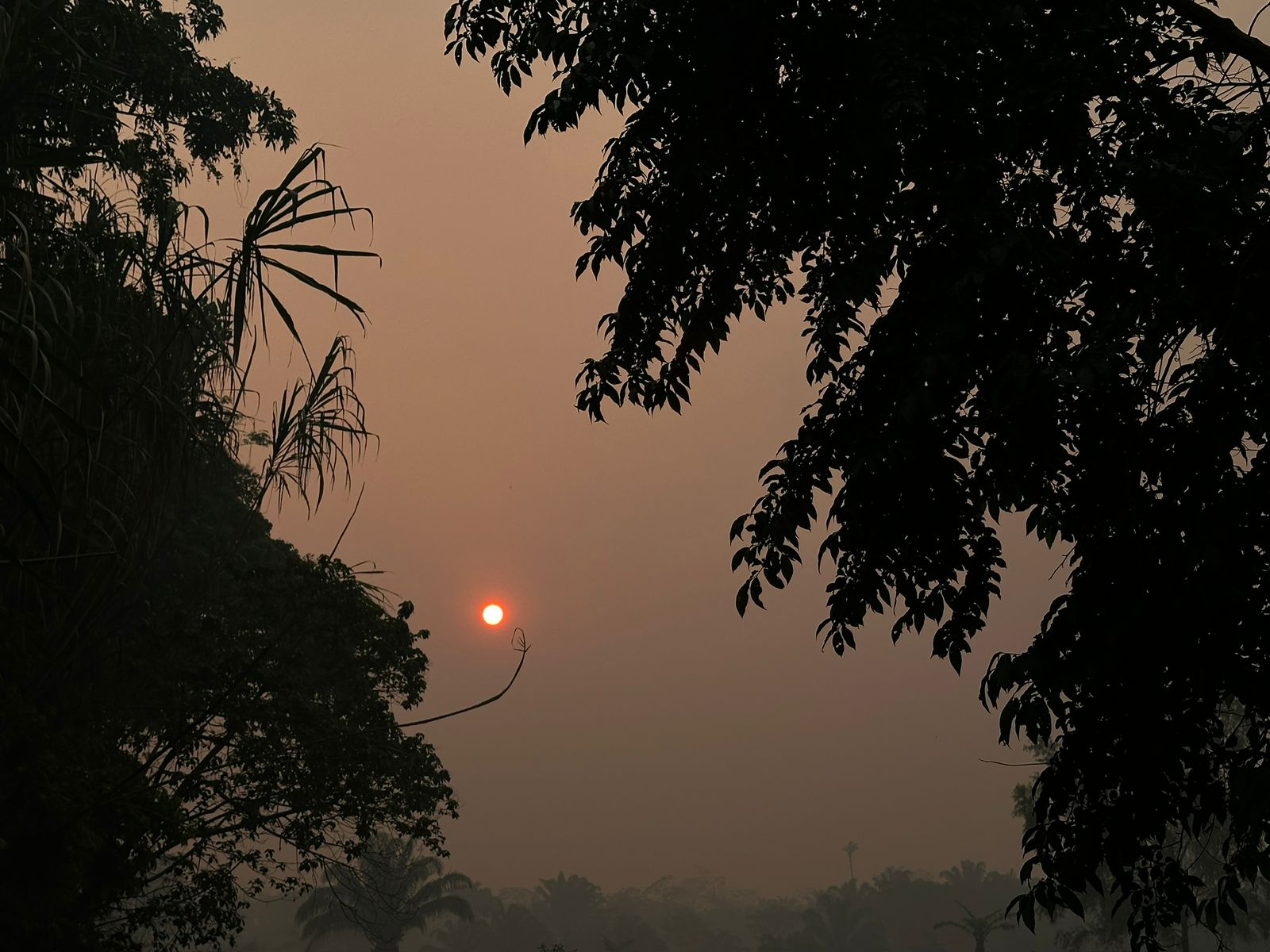 Pulmonary Society recommends declaring respiratory health emergency due to environmental pollution