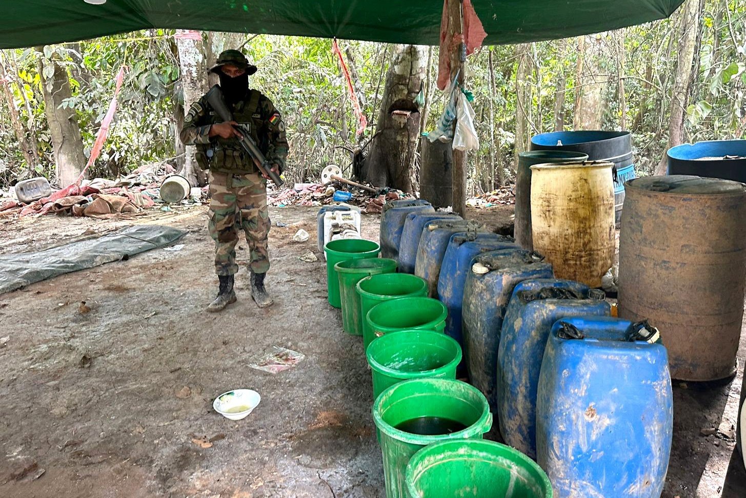 Incautan más de 4,7 toneladas de marihuana y 79 kilos de cocaína durante Plan Carnaval