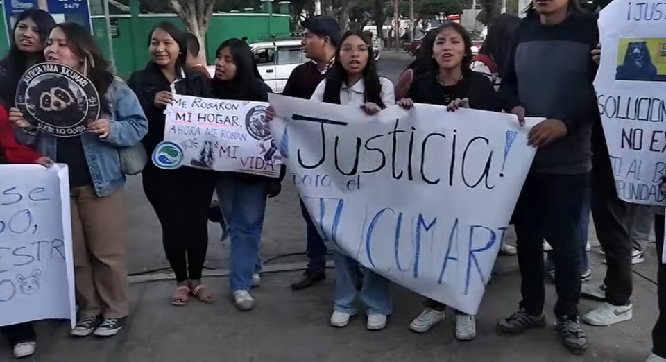 Suspenden audiencia por la muerte del oso jucumari y reprograman juicio para octubre