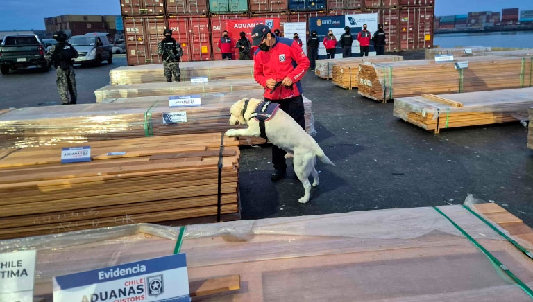 Presidente Paz abordó caso “maderas” con Chile y pidió colaborar en las gestiones