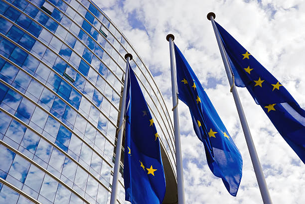 Eurodiputados visitarán Bolivia para conocer el impacto de la cooperación de la UE