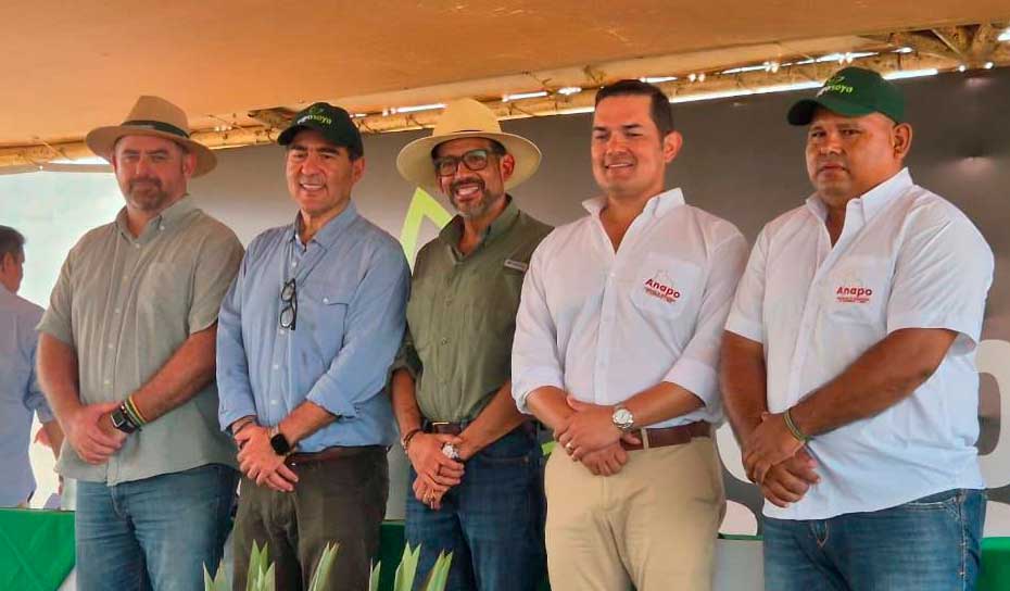 Gobierno autoriza la biotecnología HB4 para los cultivos de soya